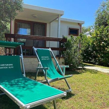 מאטינאטה Agriturismo Antichi Ulivi מראה חיצוני תמונה