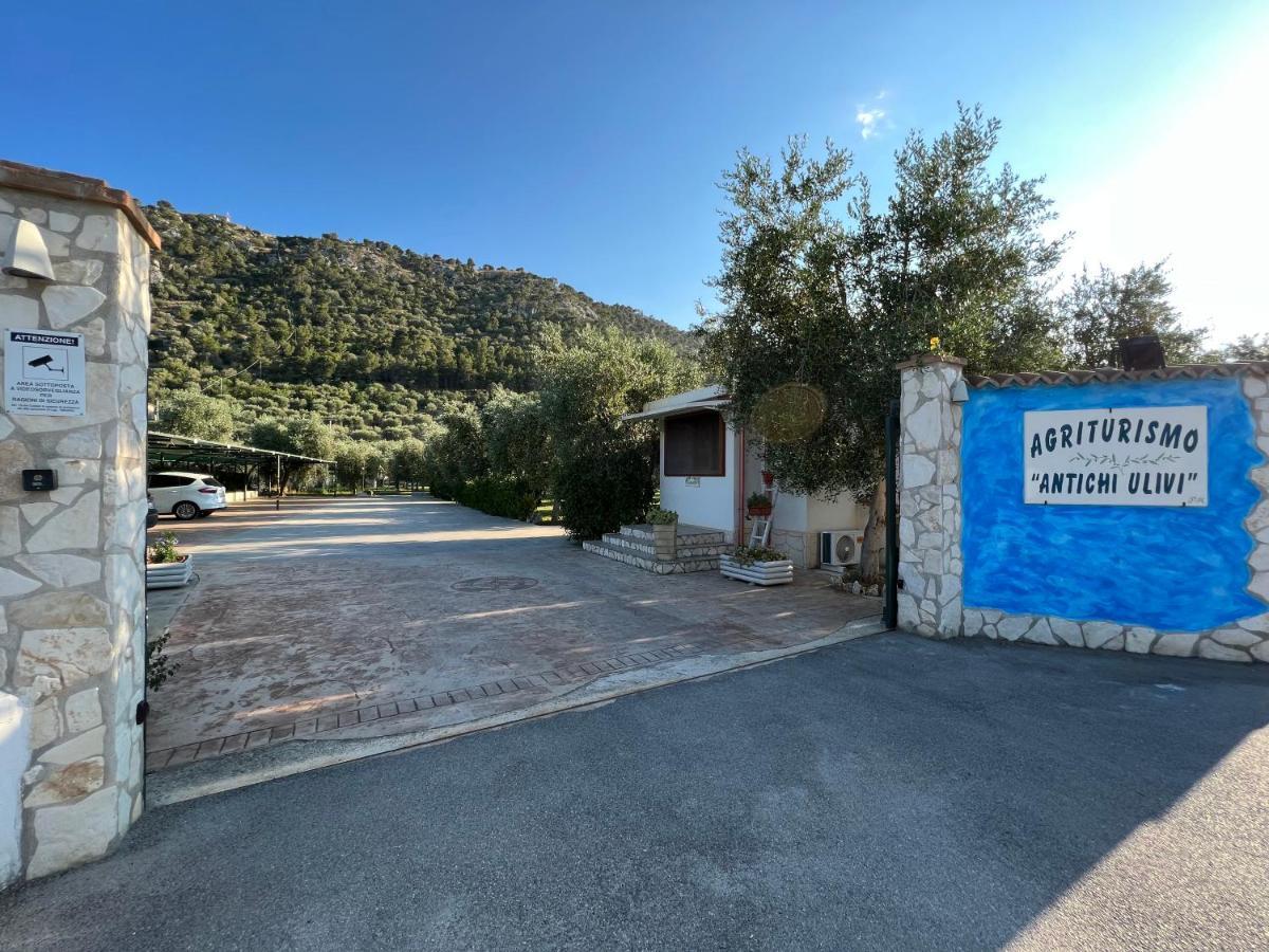 מאטינאטה Agriturismo Antichi Ulivi מראה חיצוני תמונה