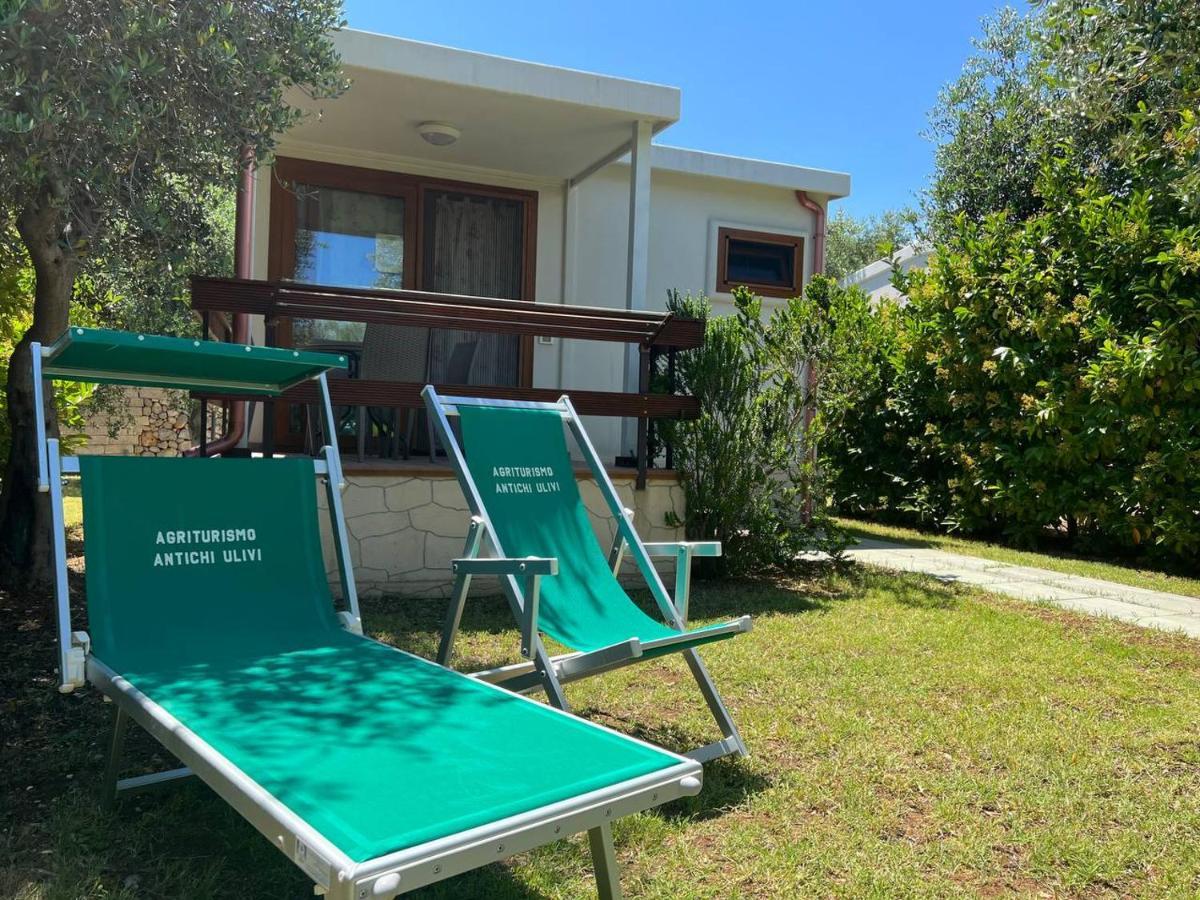 מאטינאטה Agriturismo Antichi Ulivi מראה חיצוני תמונה