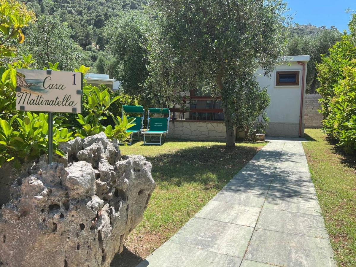 מאטינאטה Agriturismo Antichi Ulivi מראה חיצוני תמונה