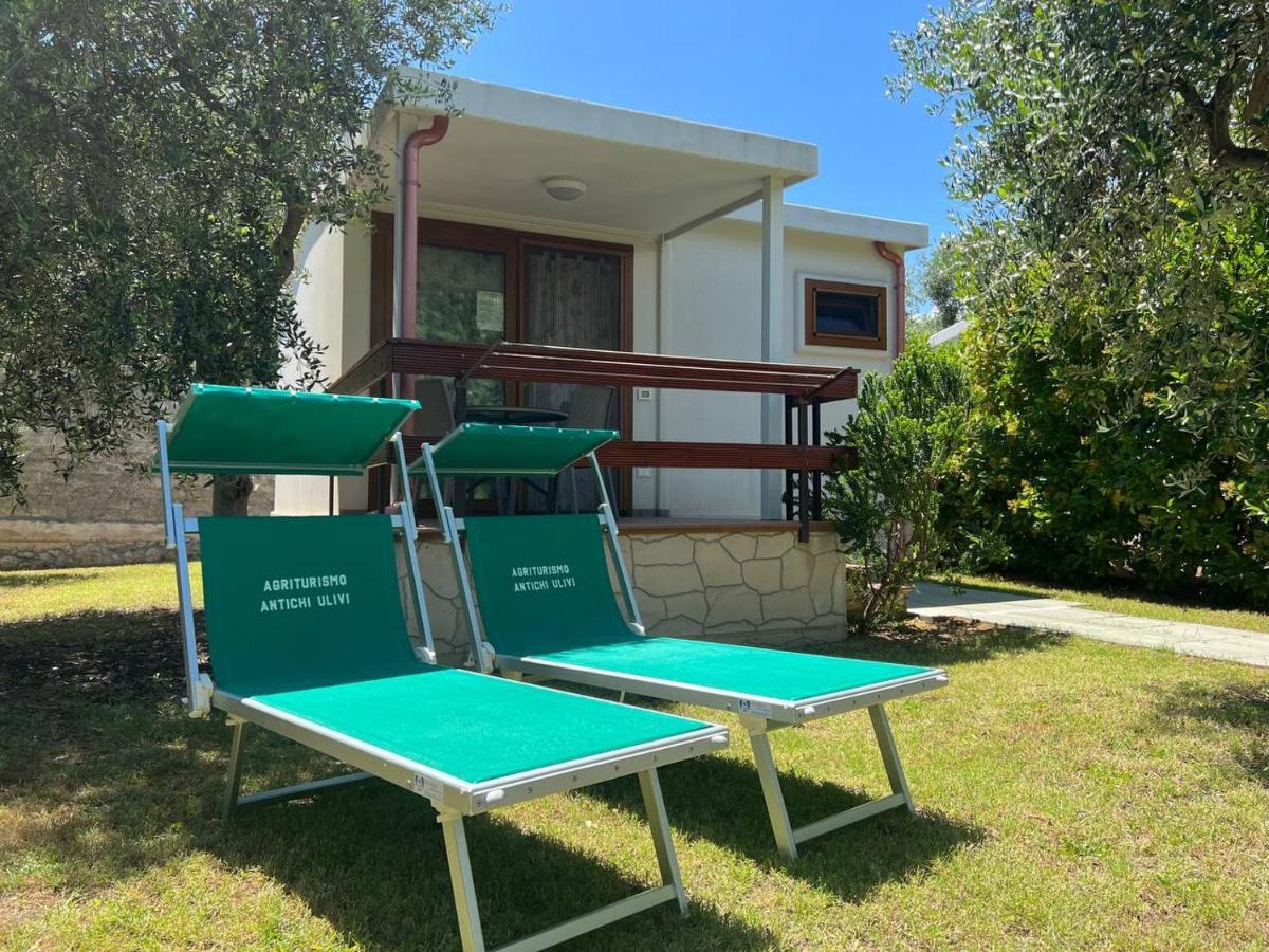 מאטינאטה Agriturismo Antichi Ulivi מראה חיצוני תמונה
