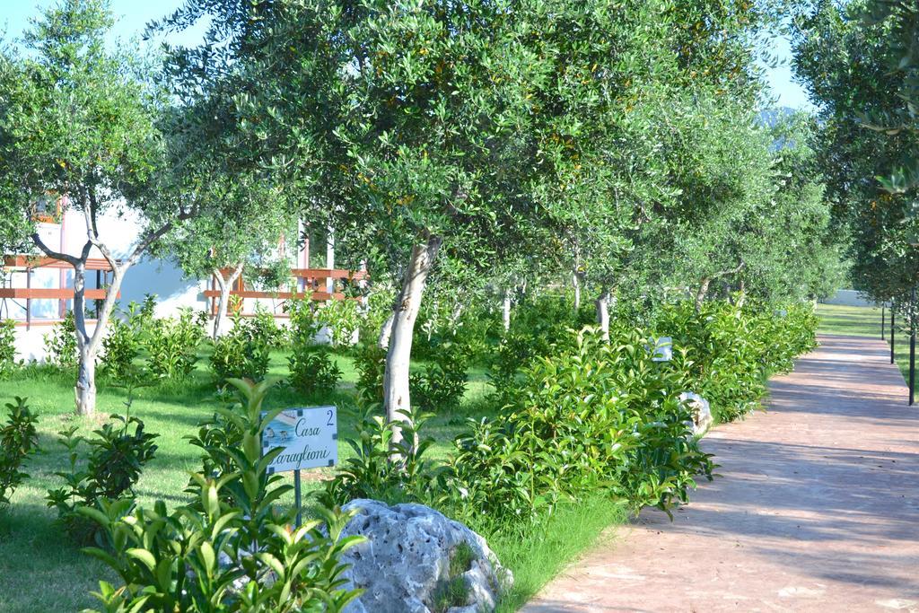 מאטינאטה Agriturismo Antichi Ulivi מראה חיצוני תמונה