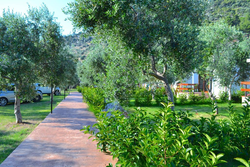מאטינאטה Agriturismo Antichi Ulivi מראה חיצוני תמונה