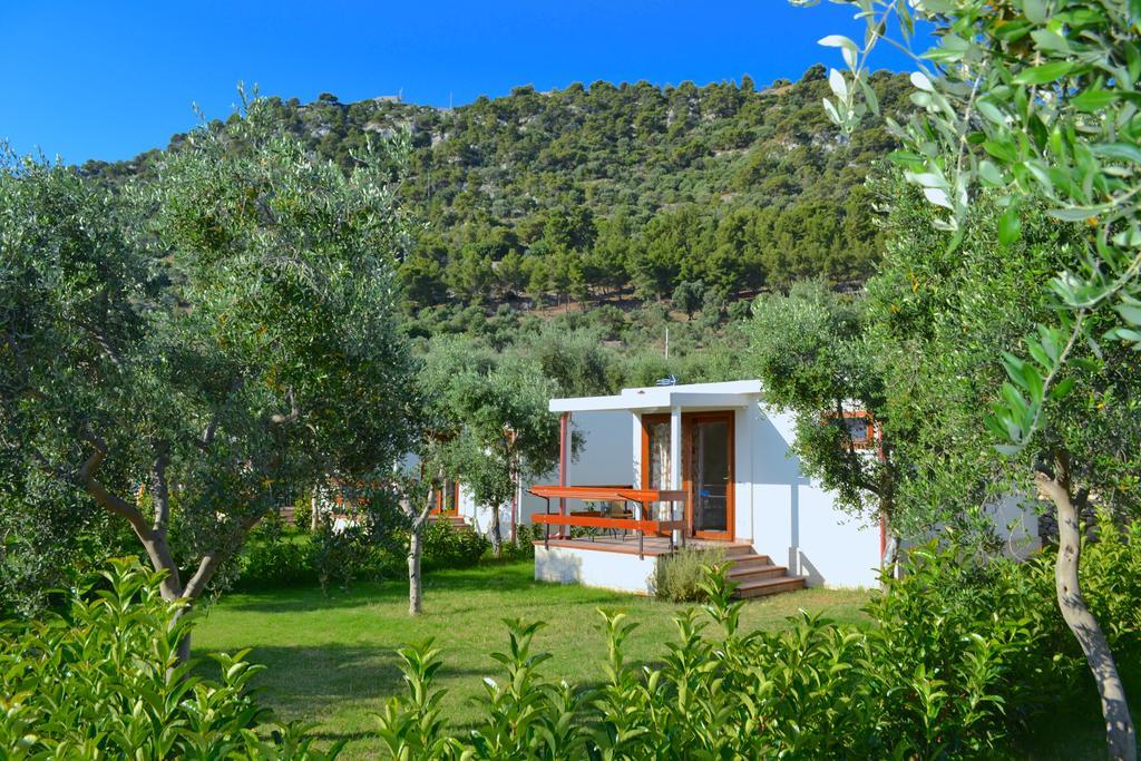 מאטינאטה Agriturismo Antichi Ulivi מראה חיצוני תמונה