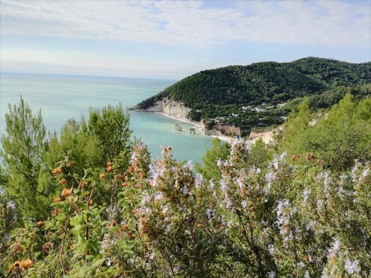 מאטינאטה Agriturismo Antichi Ulivi מראה חיצוני תמונה