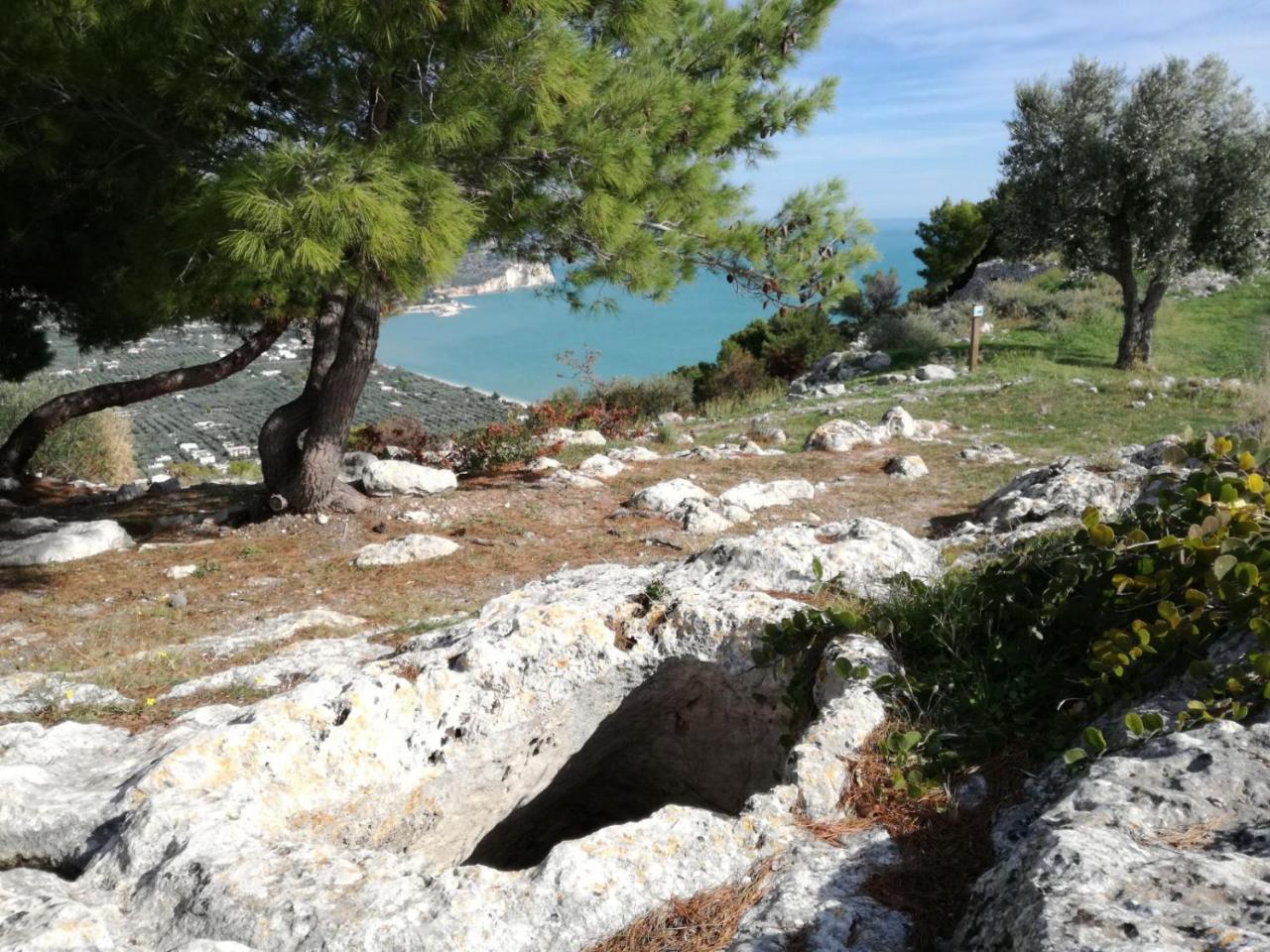 מאטינאטה Agriturismo Antichi Ulivi מראה חיצוני תמונה