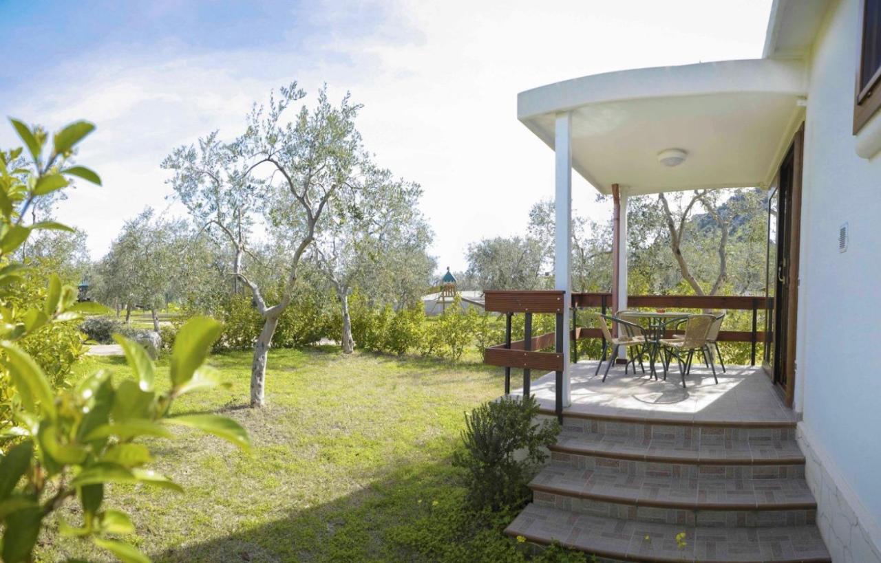 מאטינאטה Agriturismo Antichi Ulivi מראה חיצוני תמונה